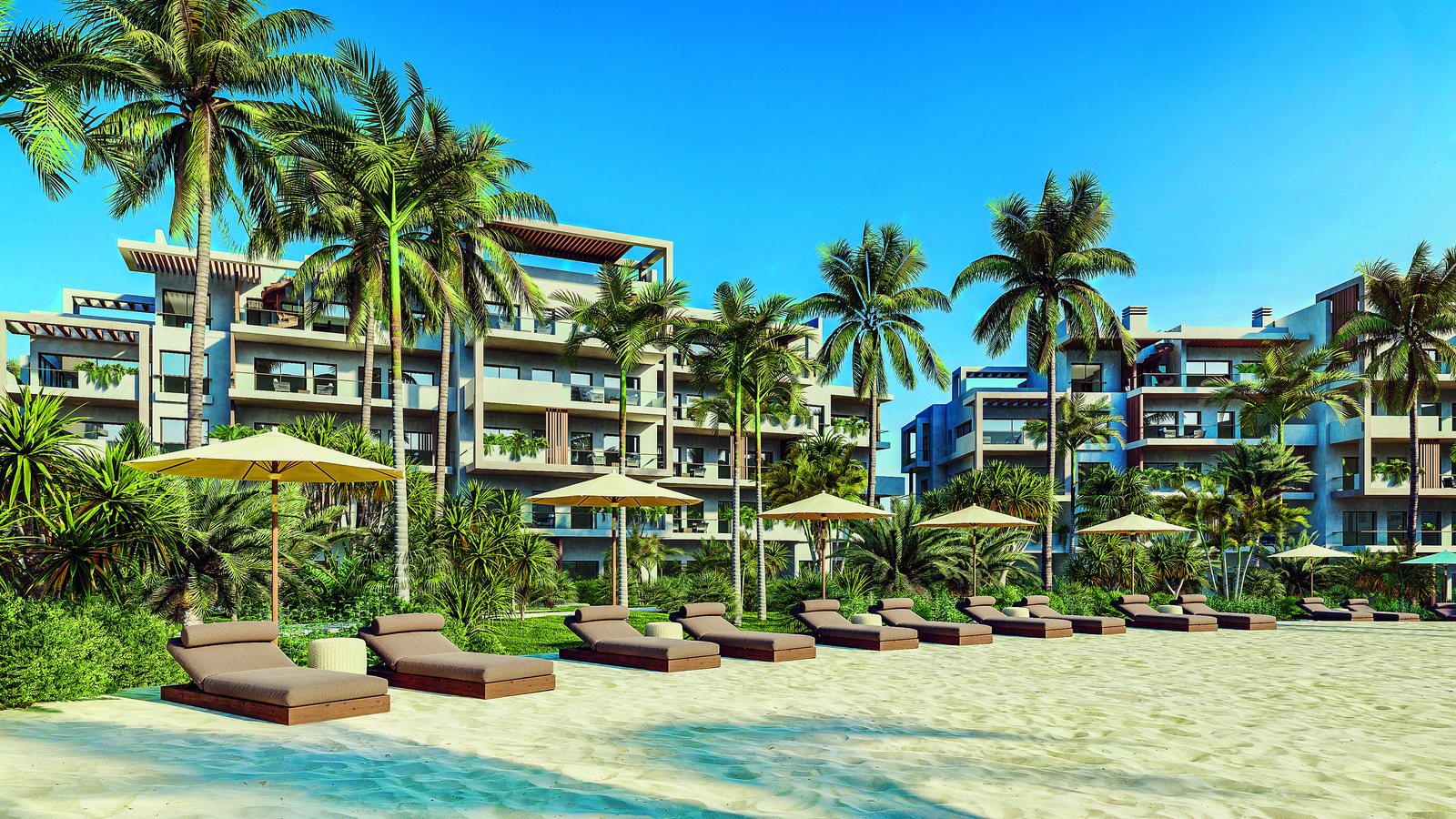 The Seed aerial view